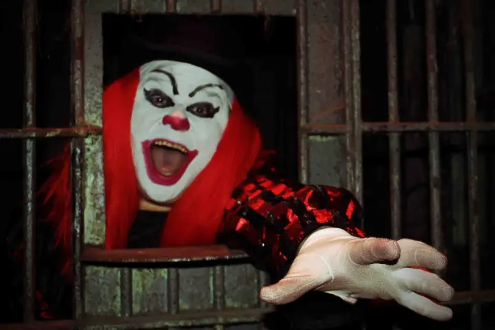 a person wearing a costume